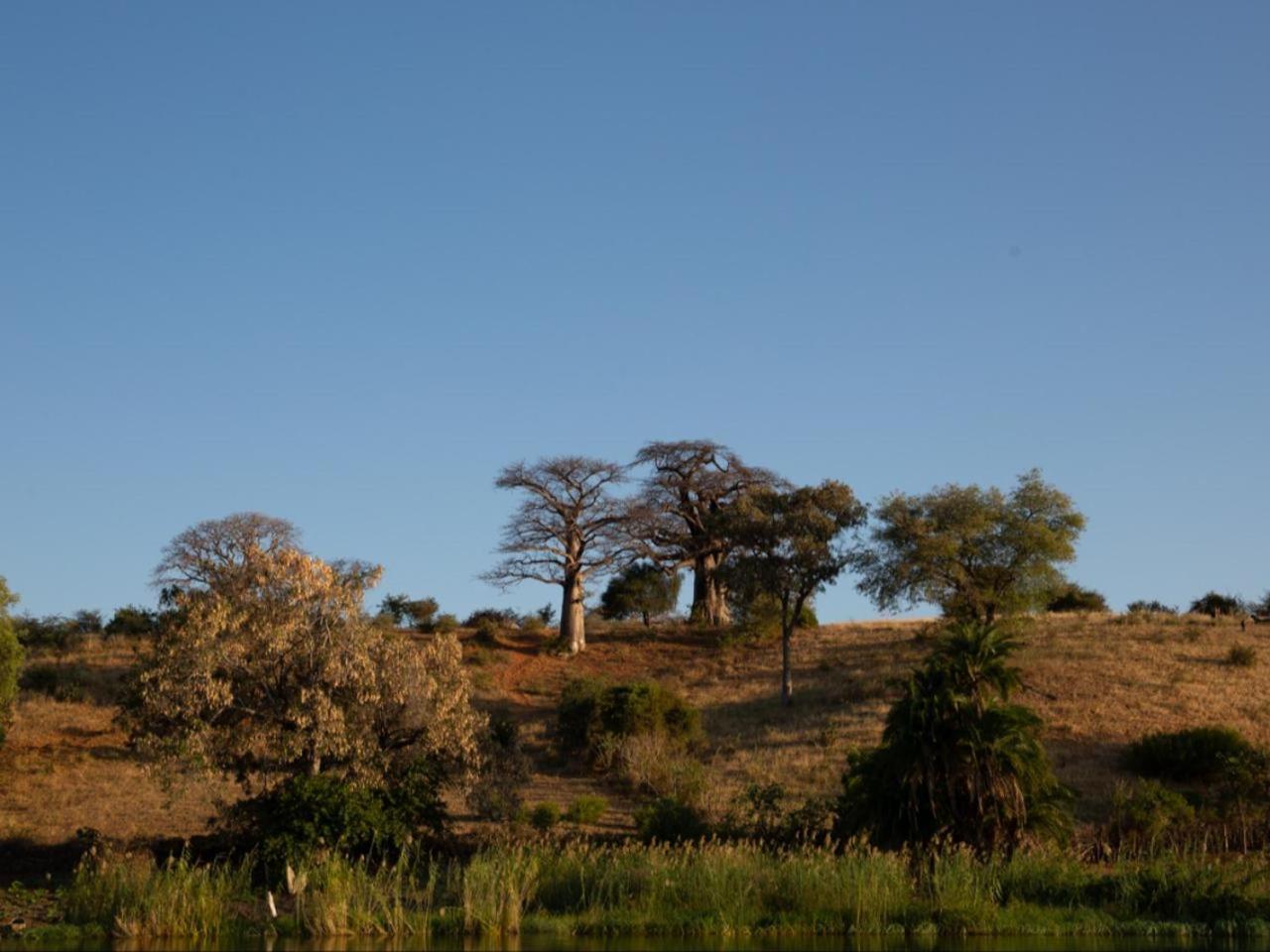 Kayova River Lodge Ndiyona Bagian luar foto