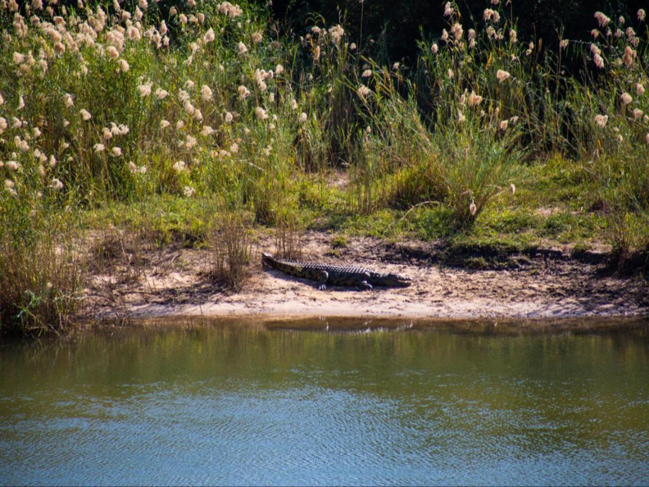 Kayova River Lodge Ndiyona Bagian luar foto